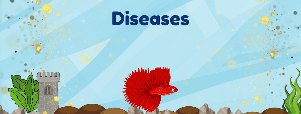 betta diseases and health