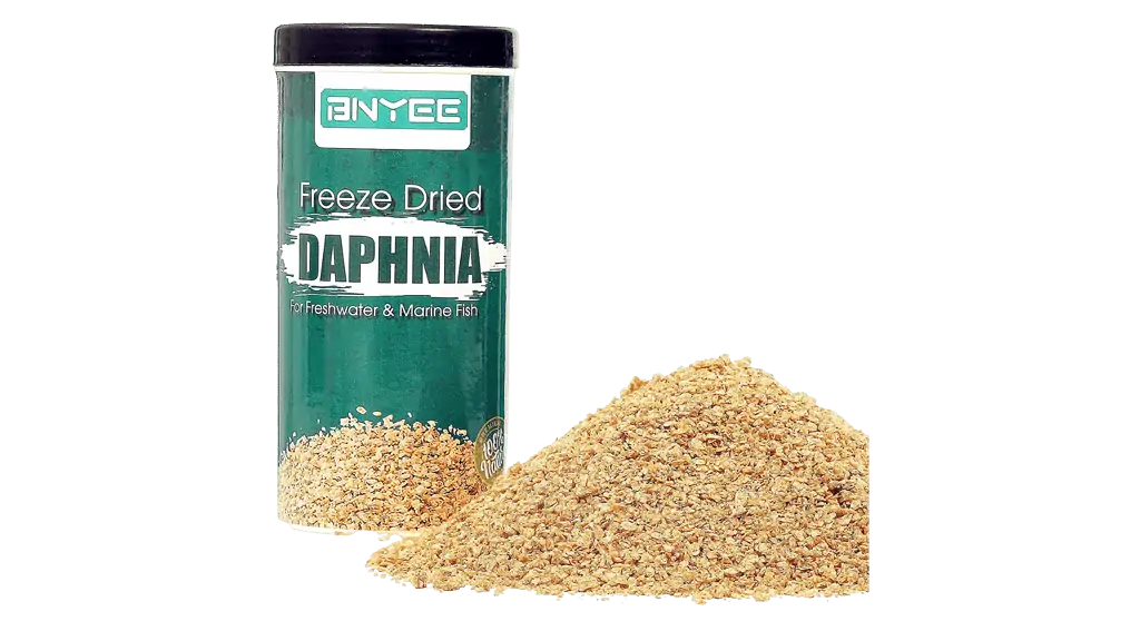 daphnia betta treats