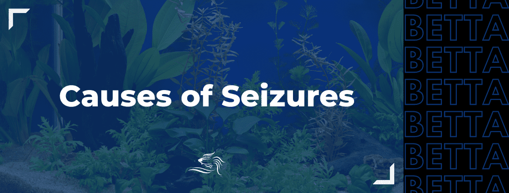causes of seizures heading