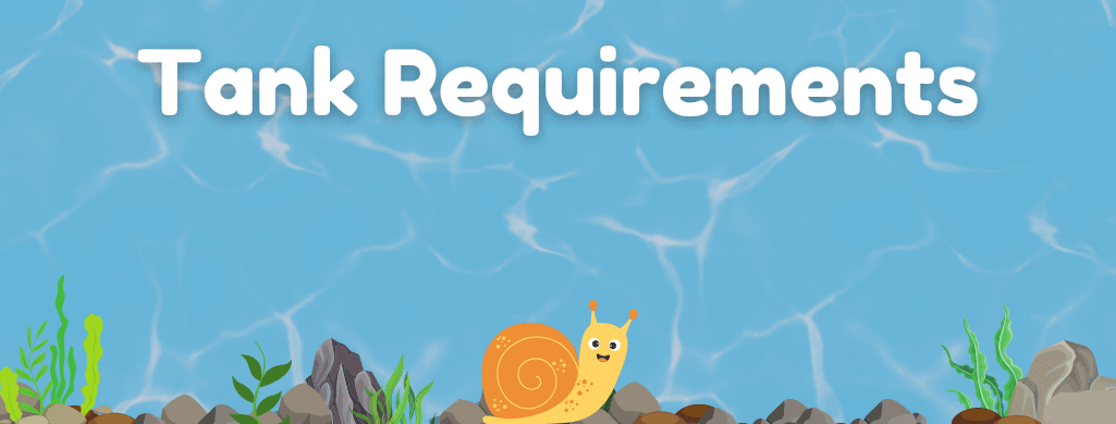 mystery snail tank requirements