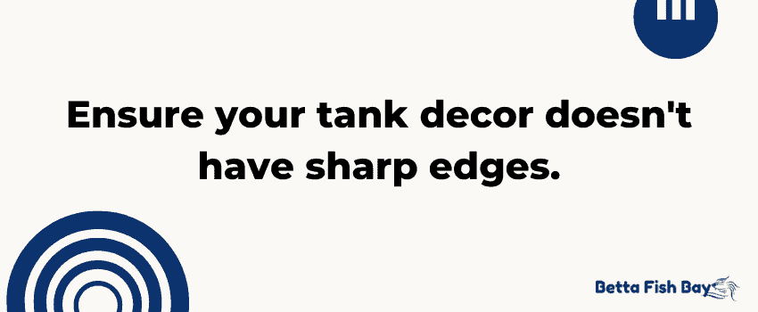 tank decor no sharp edges data