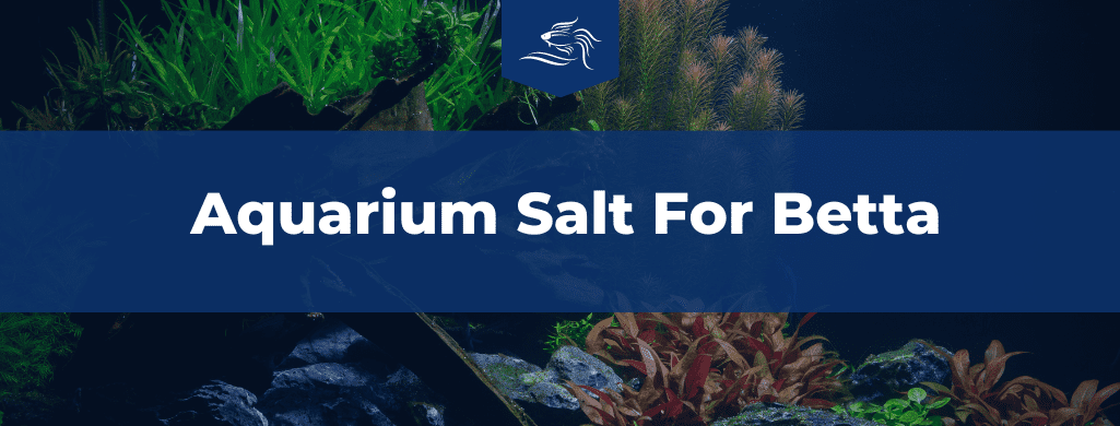Aquarium Salt For Betta ATF