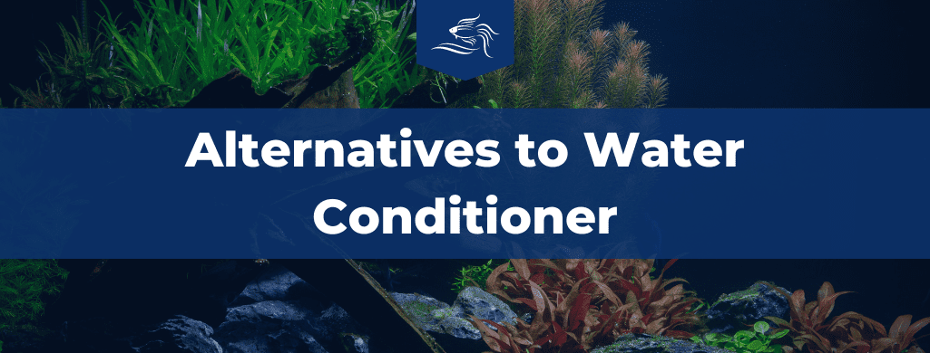 alternatives to water conditioner header
