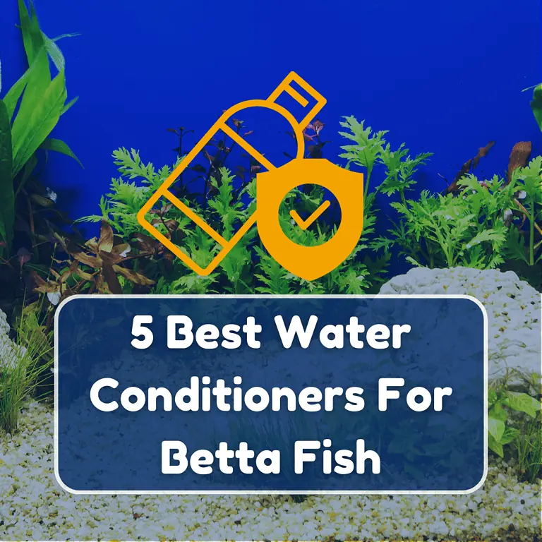 best water conditioner for betta fish featured