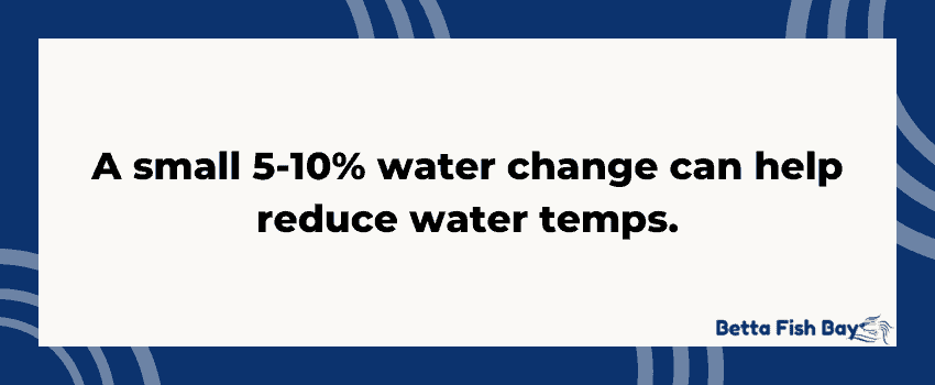 betta temps small water change data