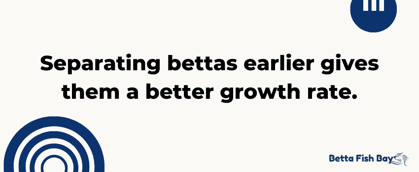 better baby betta growth rate data