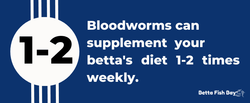 bloodworms supplement diet data