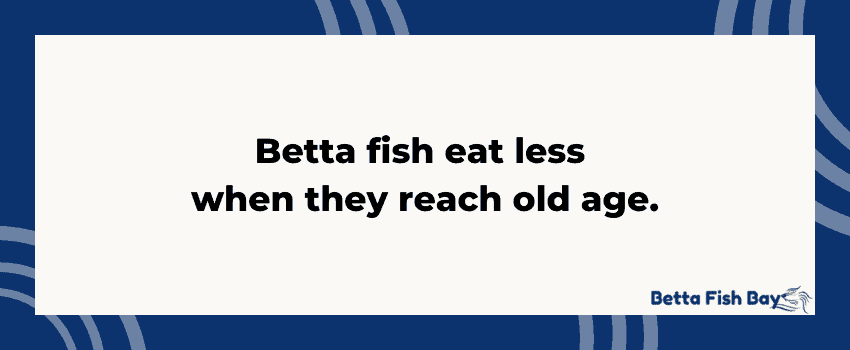 how often to feed betta old age data