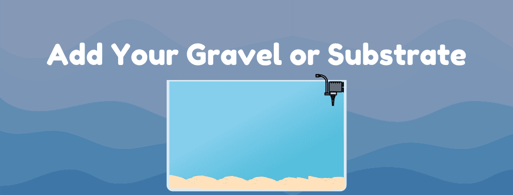 set up - gravel or substrate