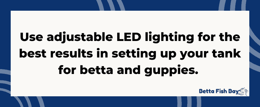 LED lighting for guppies and betta