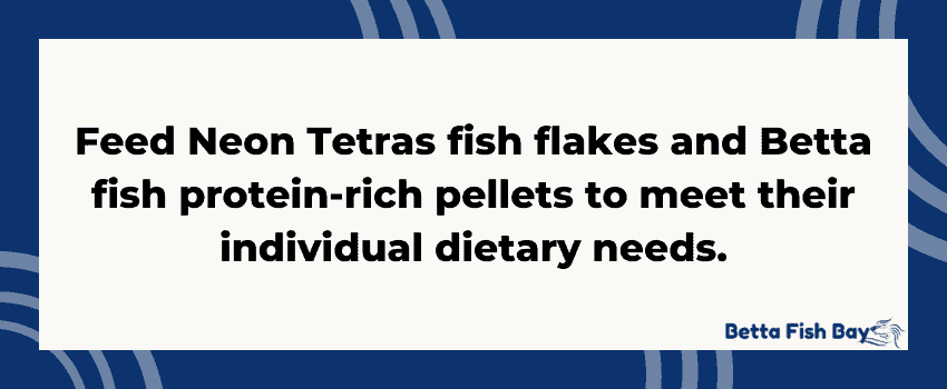 tetra and betta diet
