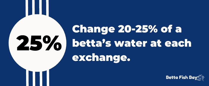 betta water change percentage