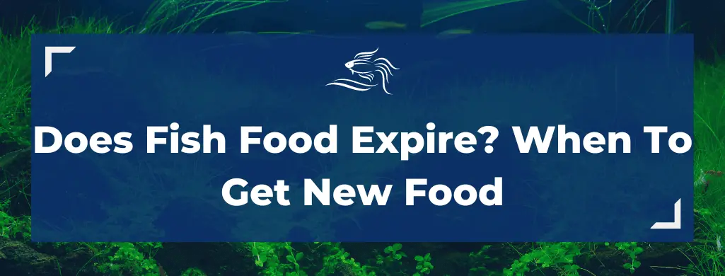 does fish food expire atf