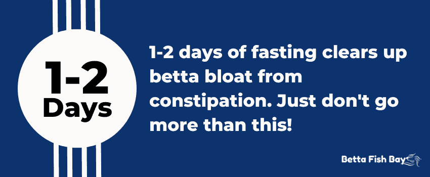 betta fasting to lessen bloat