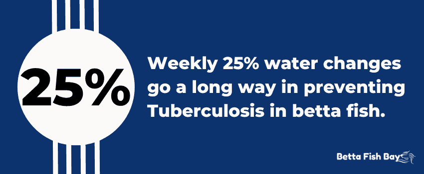weekly water changes tuberculosis