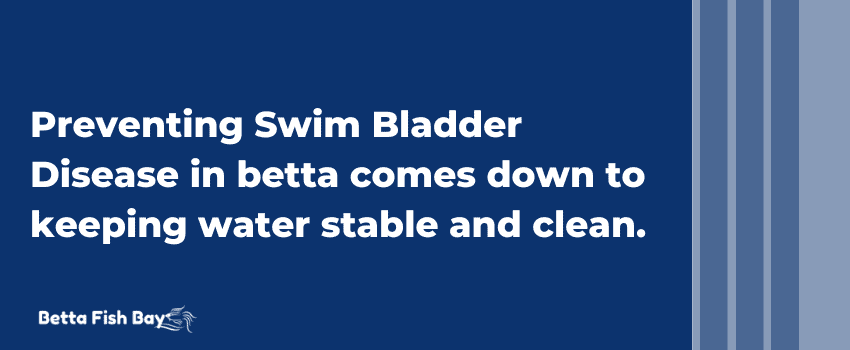 preventing swim bladder in betta