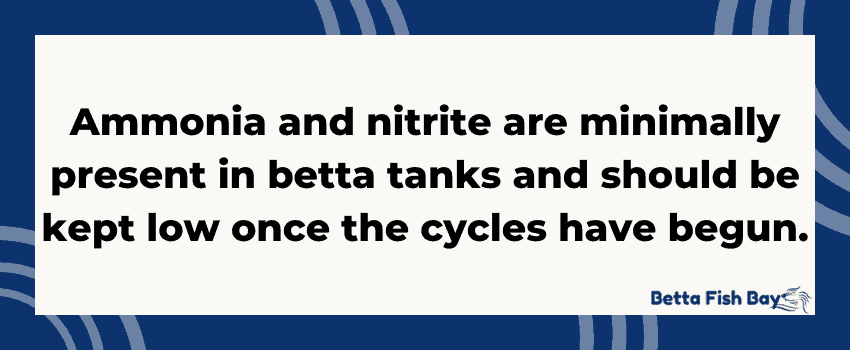 nitrite in betta cycled tanks