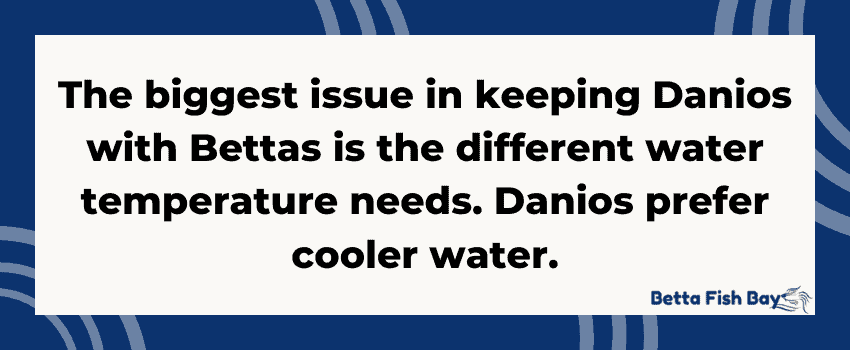 danios and bettas water temp