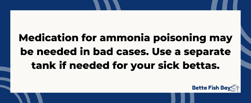 betta medicine ammonia