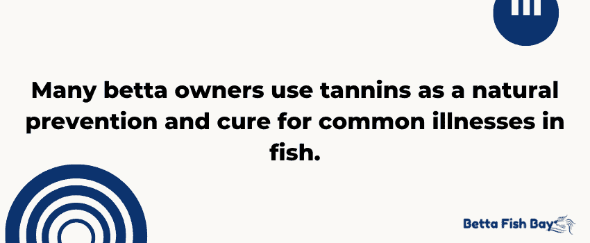 tannins cure some betta disease