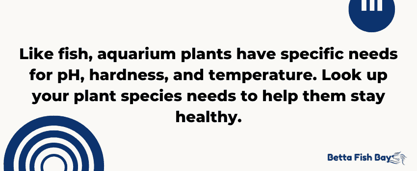 ph and temp for aquarium plants