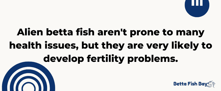 alien betta fertility issue