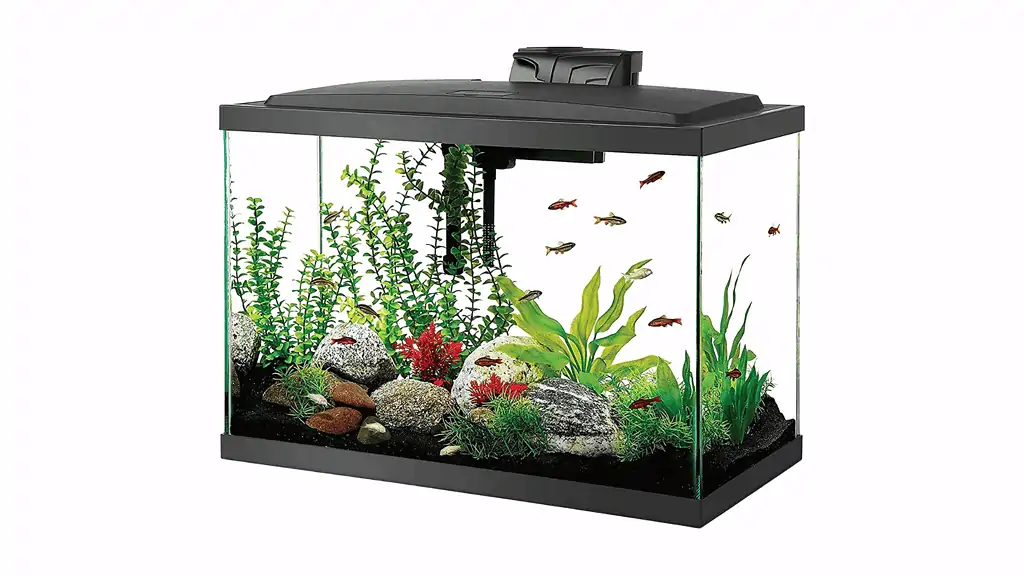 Aqueon Fish Tank Starter Kit
