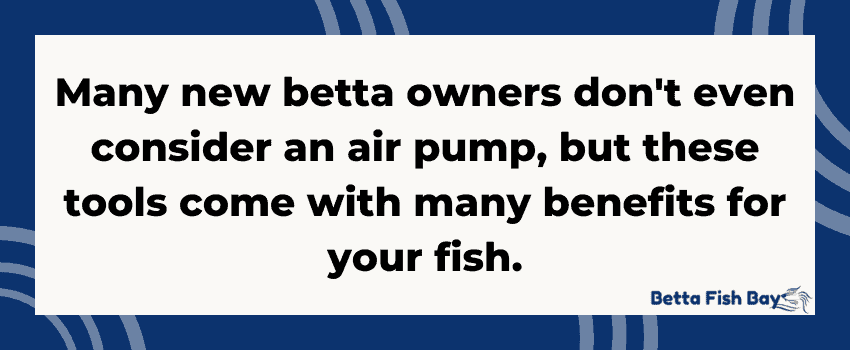 air pump betta benefits