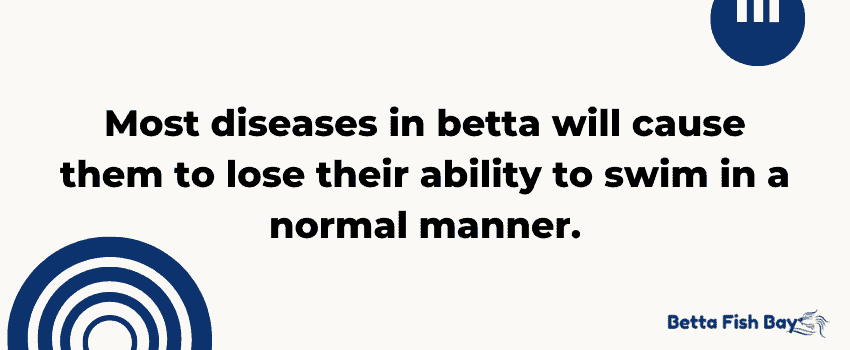 swimming betta disease
