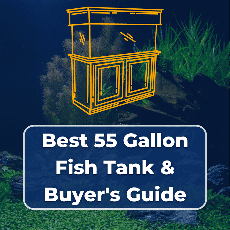 best 55 gallon fish tank featured