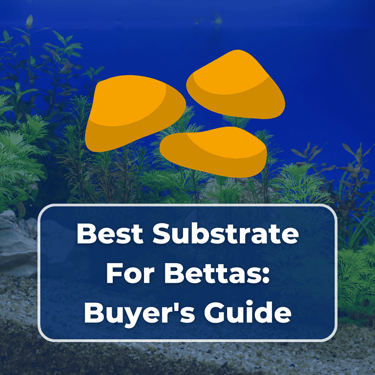 best substrate for betta featured