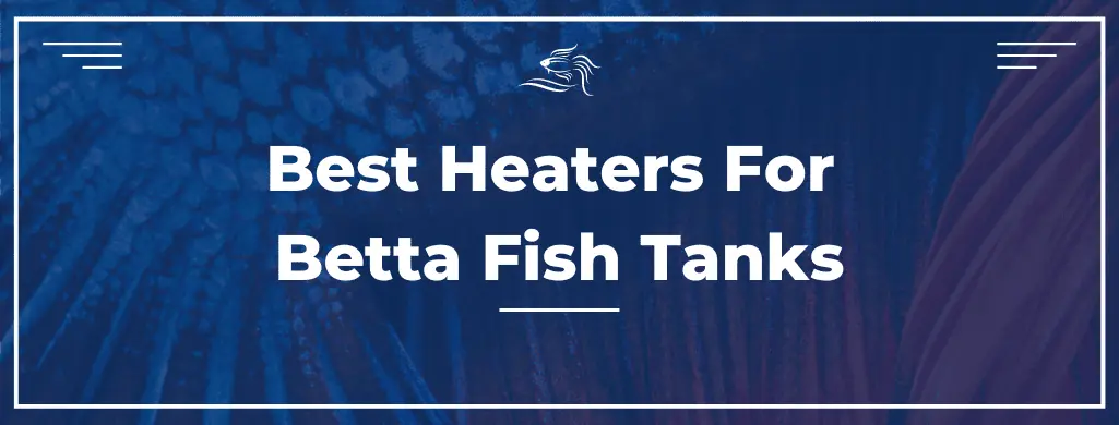 best heaters for betta fish atf