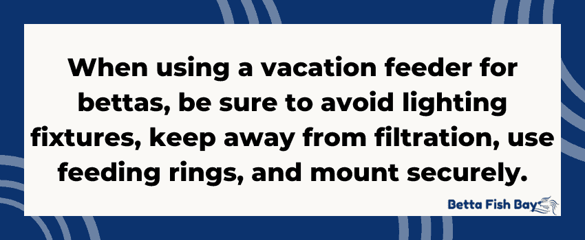 betta vacation feeder tips