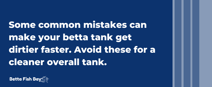 betta tank dirty mistakes