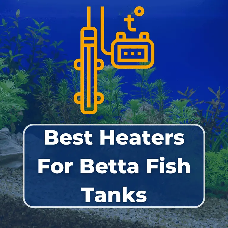 best heaters for betta fish featured