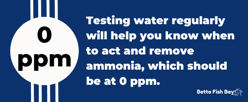 water test ammonia