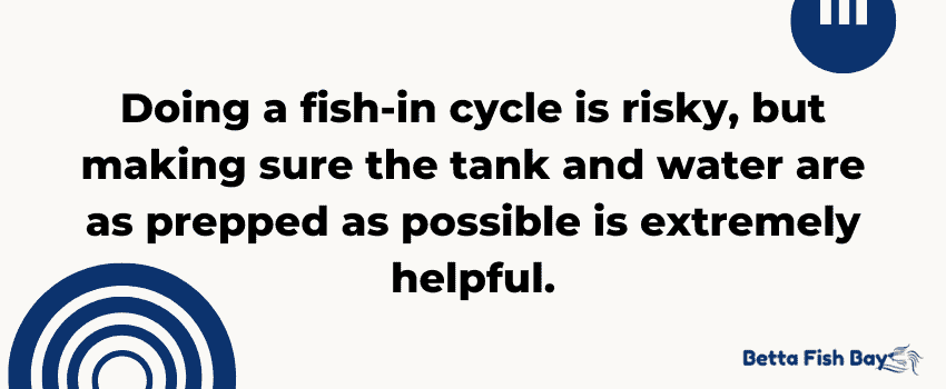 fish in cycle prepping tank